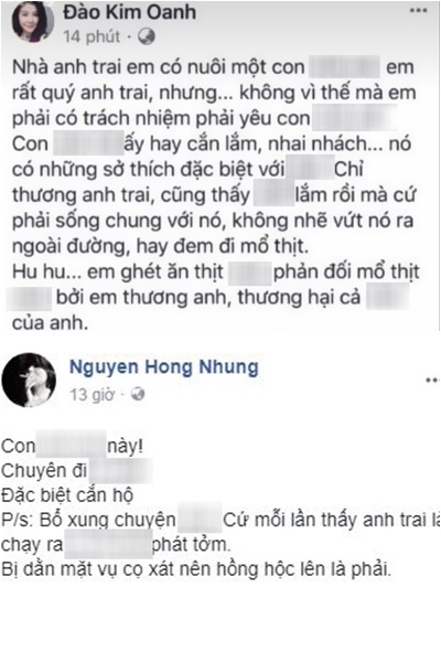 Xi nhan Trái Phải - Diễn viên Kim Oanh, vợ Xuân Bắc khẩu chiến: 2 đàn bà và “con vịt” facebook (Hình 2).