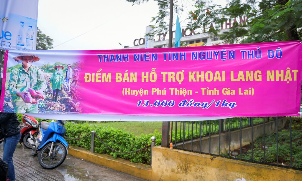 Tiêu dùng & Dư luận - Hàng trăm tấn khoai lang Nhật vượt 1.300km ra Hà Nội để được 'giải cứu' (Hình 2).