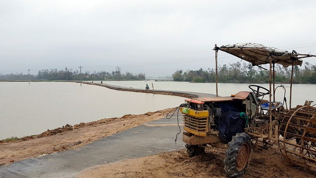 Điểm nóng - Mưa lụt khác thường, hàng ngàn hecta lúa mới sạ bị ngập