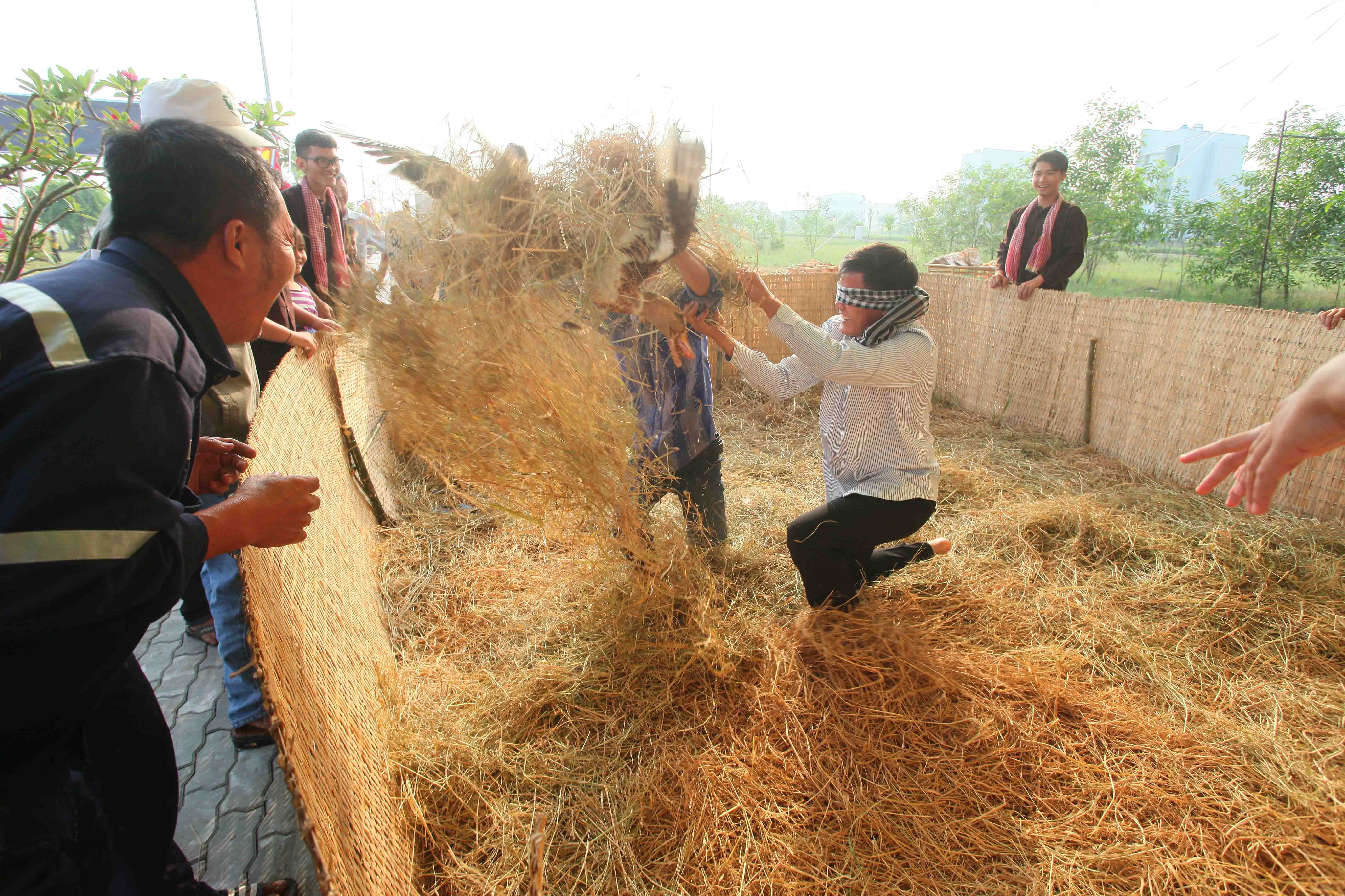 Truyền thông - Khánh thành Quảng trường Lạc Việt và Làng Sen VN vào hội Xuân (Hình 4).