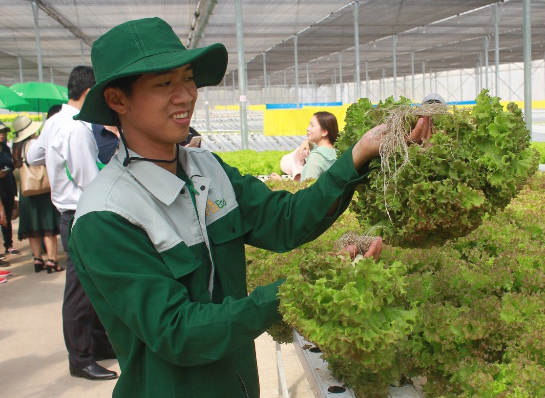 VinEco đạt chứng nhận &ldquo;Chuỗi thực phẩm an to&agrave;n&rdquo; (H&igrave;nh 2).