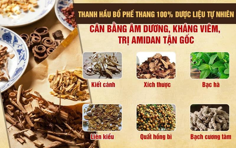 Truyền thông - Bài thuốc Thanh hầu bổ phế thang trị viêm họng, viêm amidan phù hợp cơ địa người Việt (Hình 3).