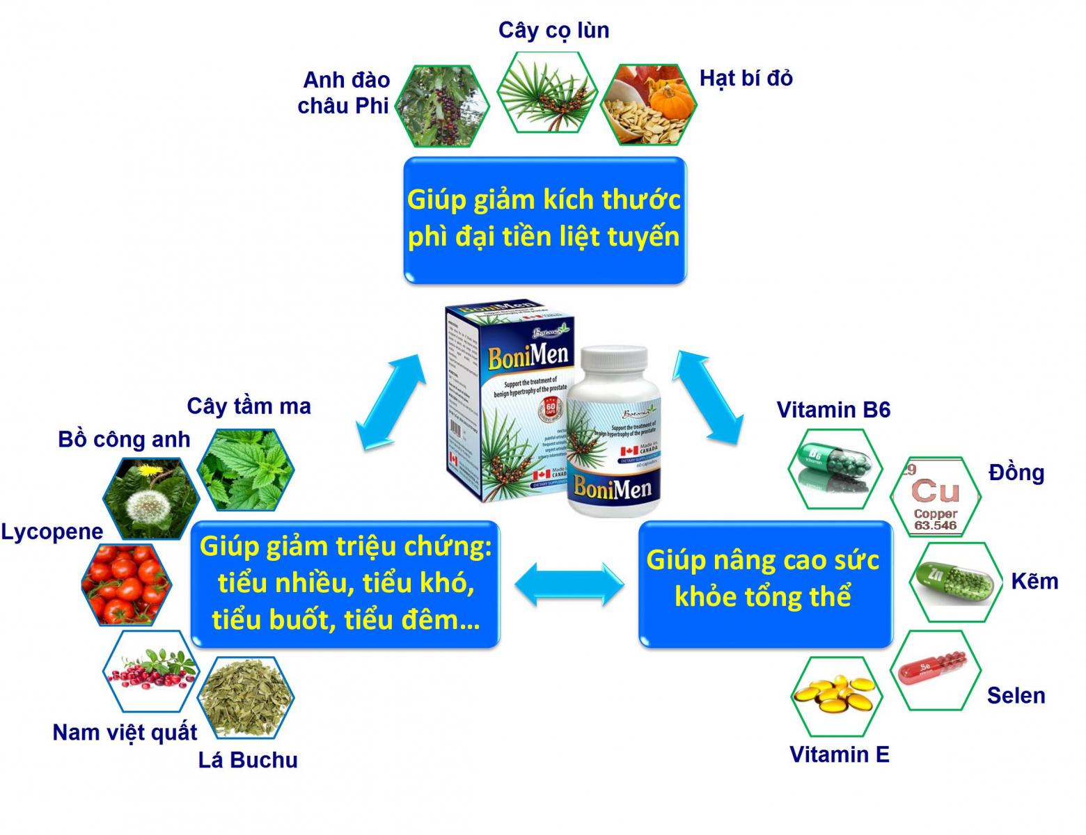 Sức khỏe - BoniMen – Ân nhân giúp tôi chiến thắng bệnh phì đại tuyến tiền liệt (Hình 2).