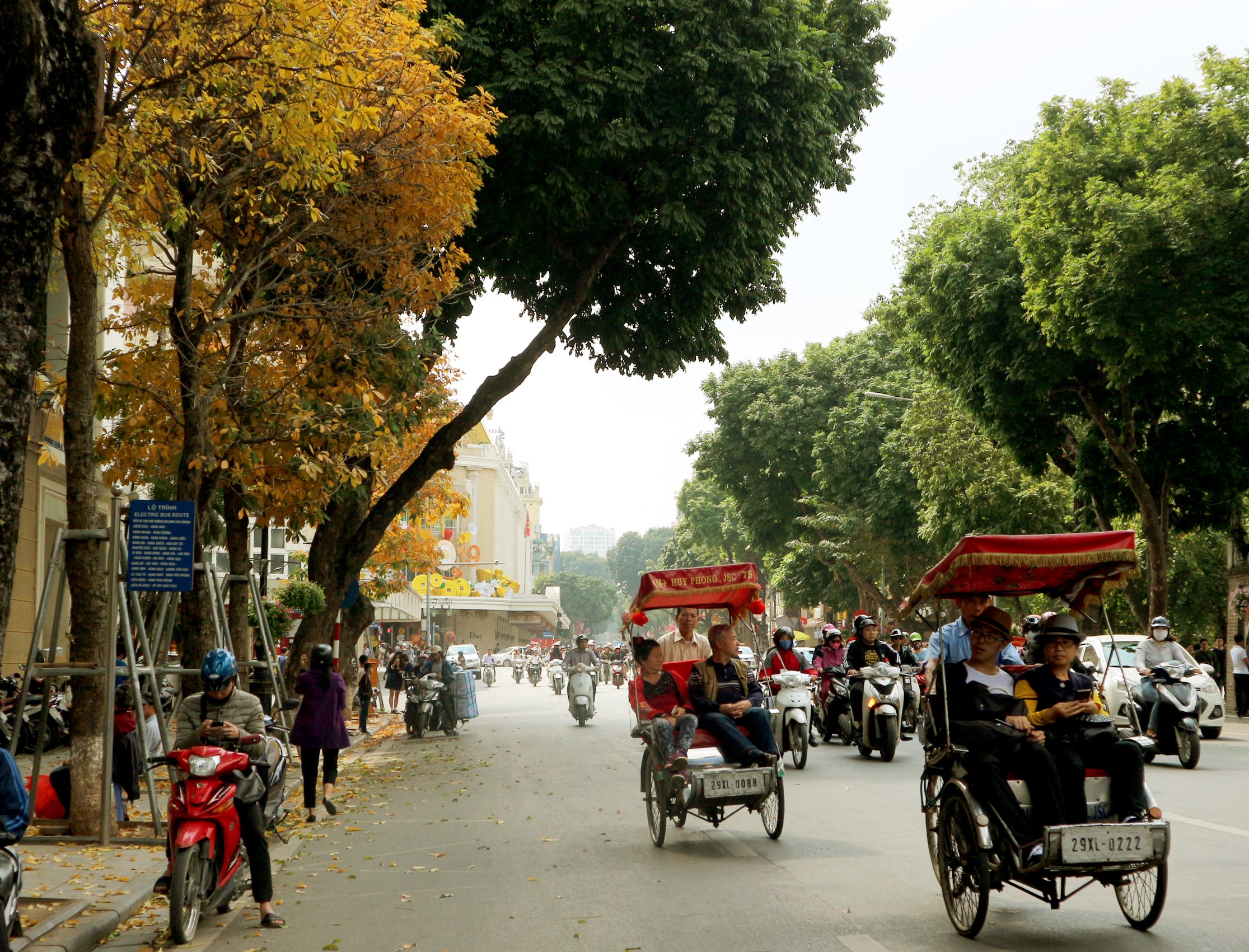 Tin nhanh - Lộc vừng thay lá, Hà Nội đẹp mơ màng (Hình 9).