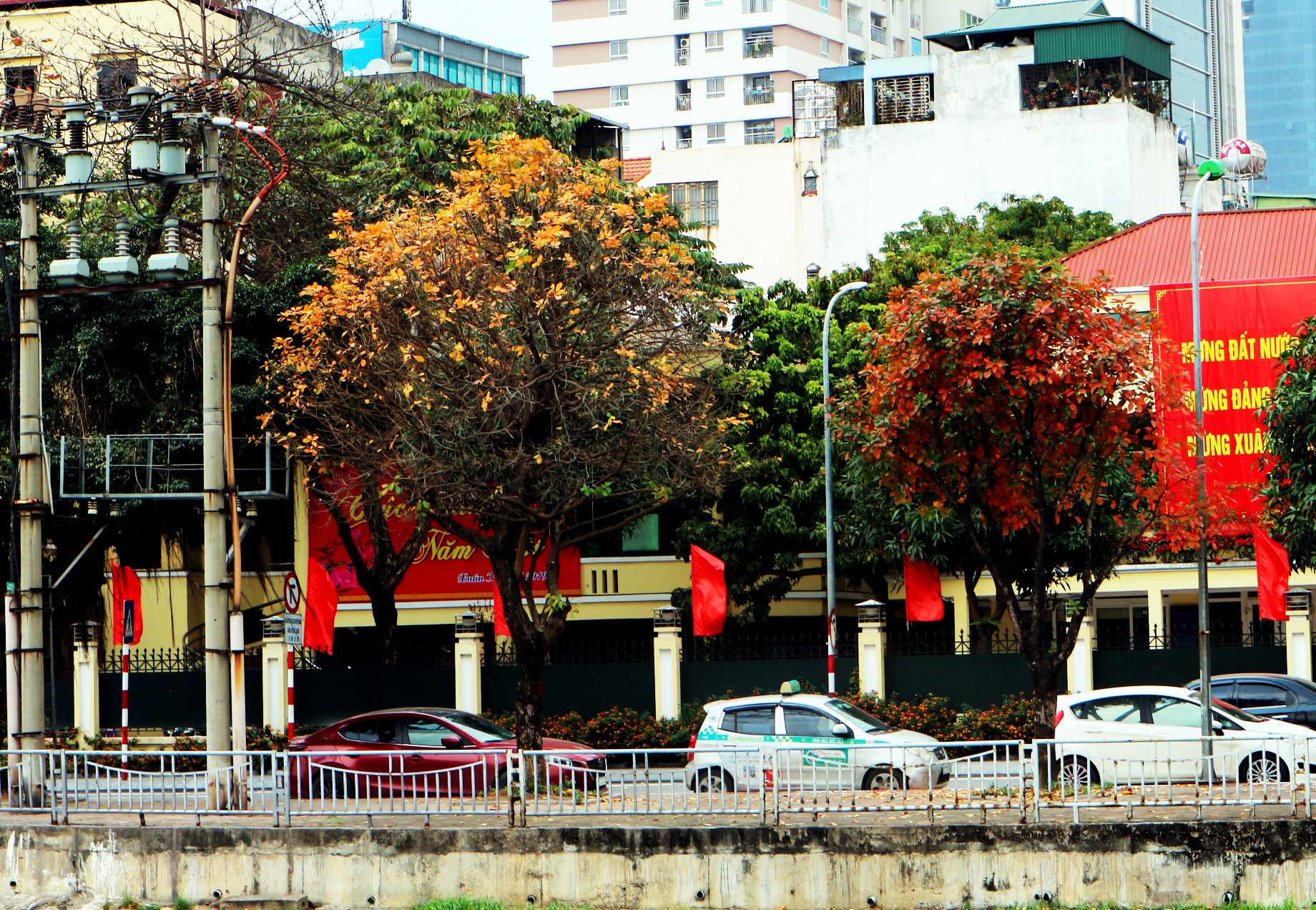 Tin nhanh - Lộc vừng thay lá, Hà Nội đẹp mơ màng (Hình 11).