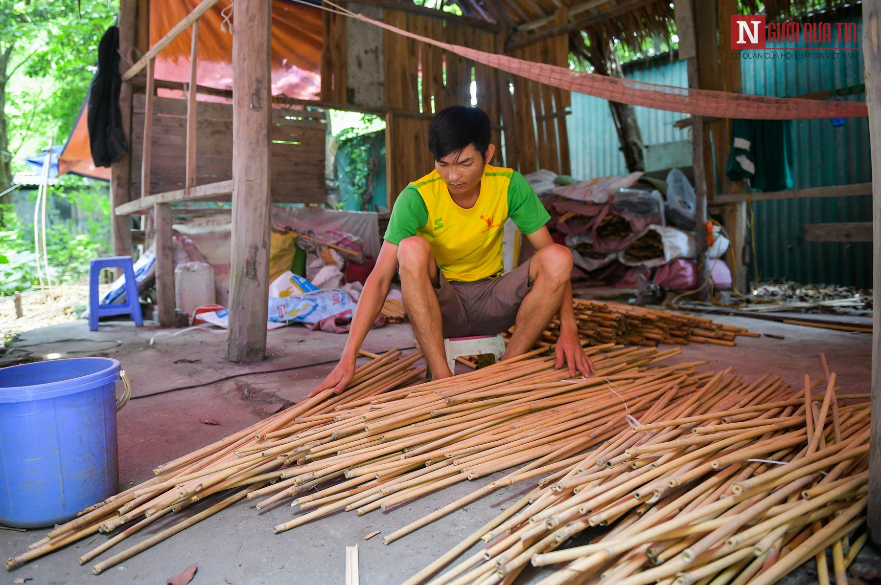 Dân sinh - Từ ống tre rừng đến “cơn sốt” trên thị trường quốc tế (Hình 2).