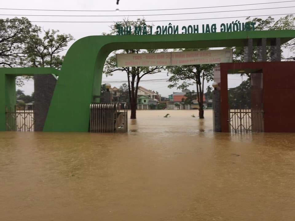 Giáo dục - Gia hạn thời gian nhập học cho sinh viên vì mưa lũ (Hình 2).