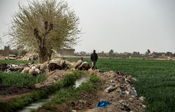 Tiêu điểm - Đánh tận hang ổ, không quân Nga khiến IS chết như ngả rạ ở Syria    