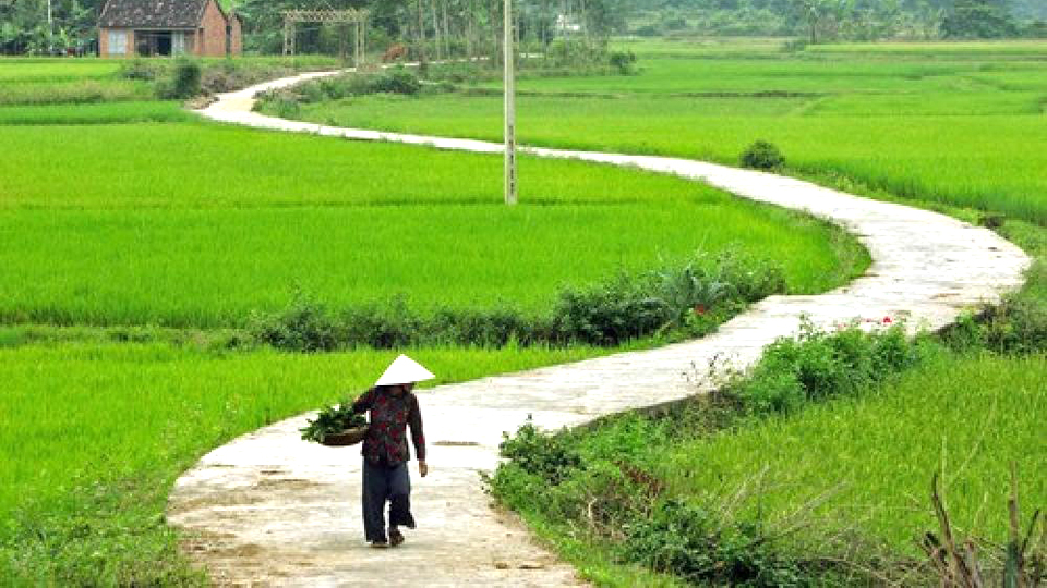 Bĩnh tĩnh sống - “Đứa trẻ” 30 tuổi sống ở thành phố