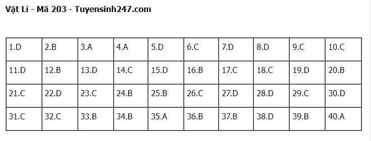 Giáo dục - Đề thi, đáp án môn Vật lý thi tốt nghiệp THPT 2023 chuẩn nhất mã đề 203