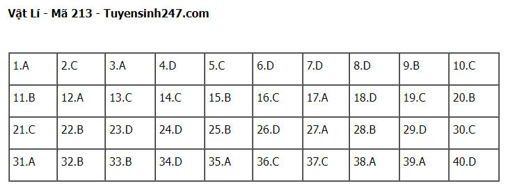 Giáo dục - Đề thi, đáp án môn Vật lý thi tốt nghiệp THPT 2023 chuẩn nhất mã đề 213