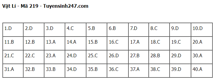 Giáo dục - Đề thi, đáp án môn Vật lý thi tốt nghiệp THPT 2023 chuẩn nhất mã đề 219