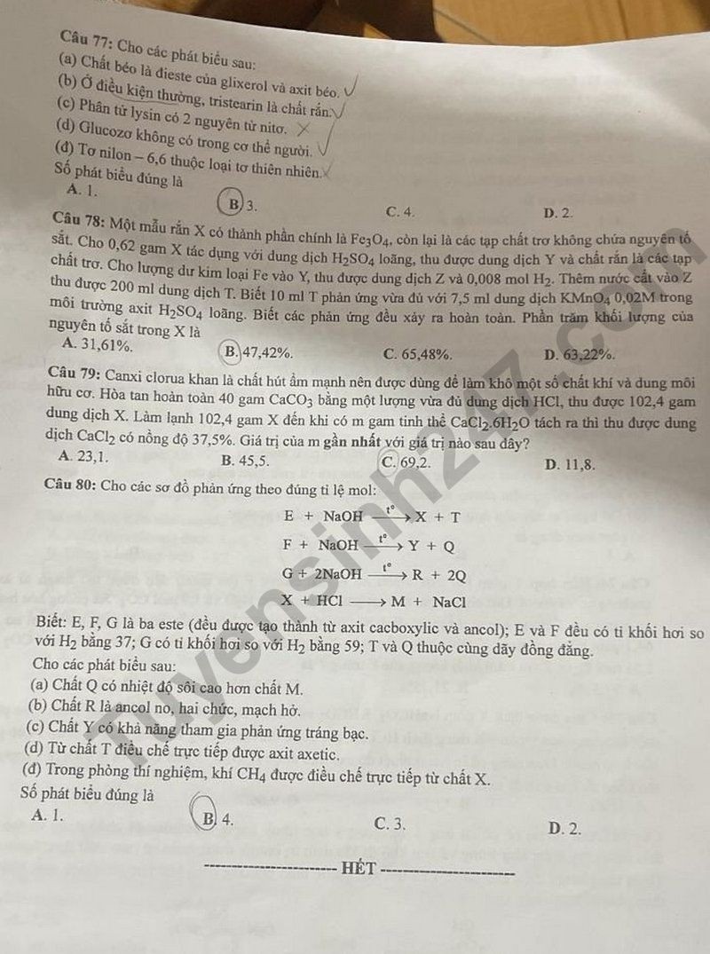 Giáo dục - Đề thi, đáp án môn Hóa học kỳ thi tốt nghiệp THPT 2024 mã đề 208 (Hình 4).