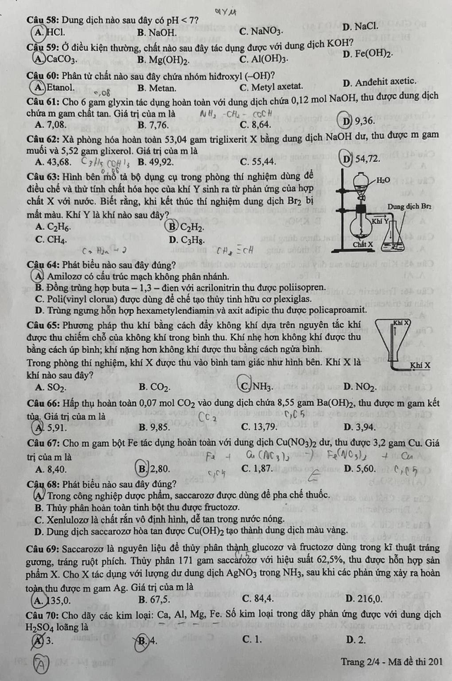 Giáo dục - Đề thi, đáp án môn Hóa học kỳ thi tốt nghiệp THPT 2024 mã đề 201 (Hình 2).