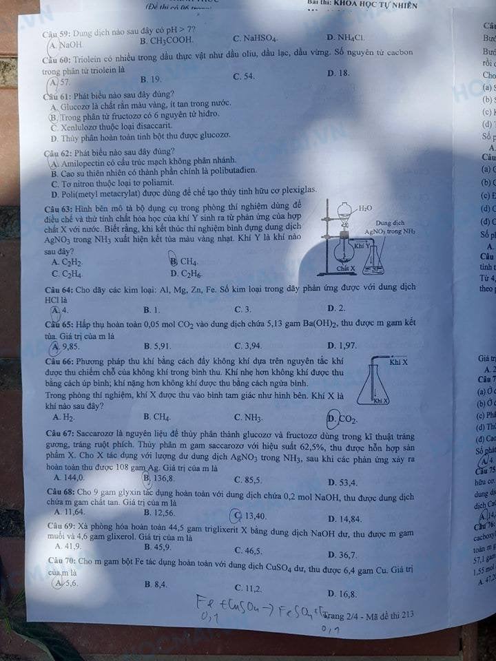 Giáo dục - Đề thi, đáp án môn Hóa học kỳ thi tốt nghiệp THPT 2024 mã đề 213 (Hình 2).