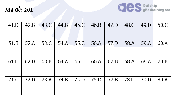 Giáo dục - Đề thi, đáp án môn Hóa học kỳ thi tốt nghiệp THPT 2024 mã đề 201 (Hình 5).