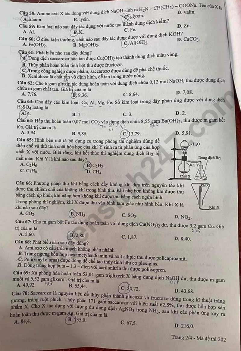 Giáo dục - Đề thi, đáp án môn Hóa học kỳ thi tốt nghiệp THPT 2024 mã đề 202 (Hình 2).