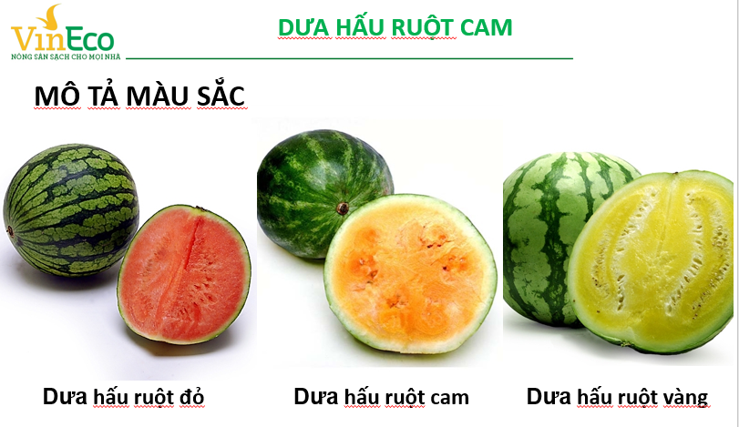 Truyền thông - Hội chợ xanh 2018 mang thực phẩm xanh an toàn đến người tiêu dùng (Hình 4).