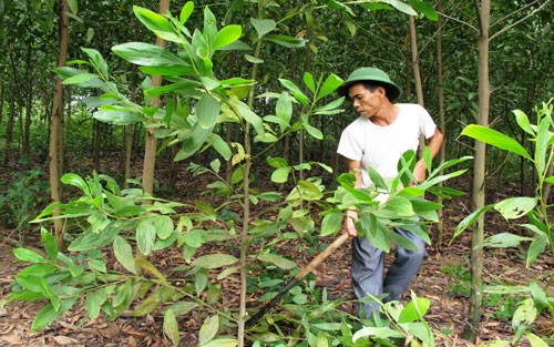 Truyền thông - Sơn Động - những chuyển biến mạnh mẽ về kinh tế, xã hội