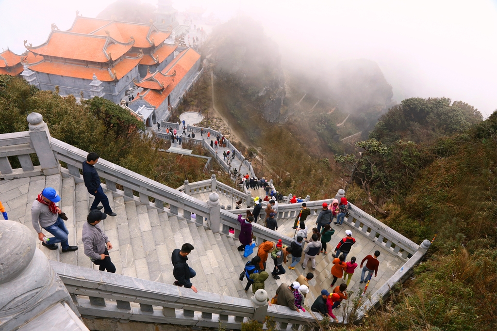 Lên Fansipan ngay thôi, đỗ quyên đang khoe sắc, lễ hội đang tưng bừng 