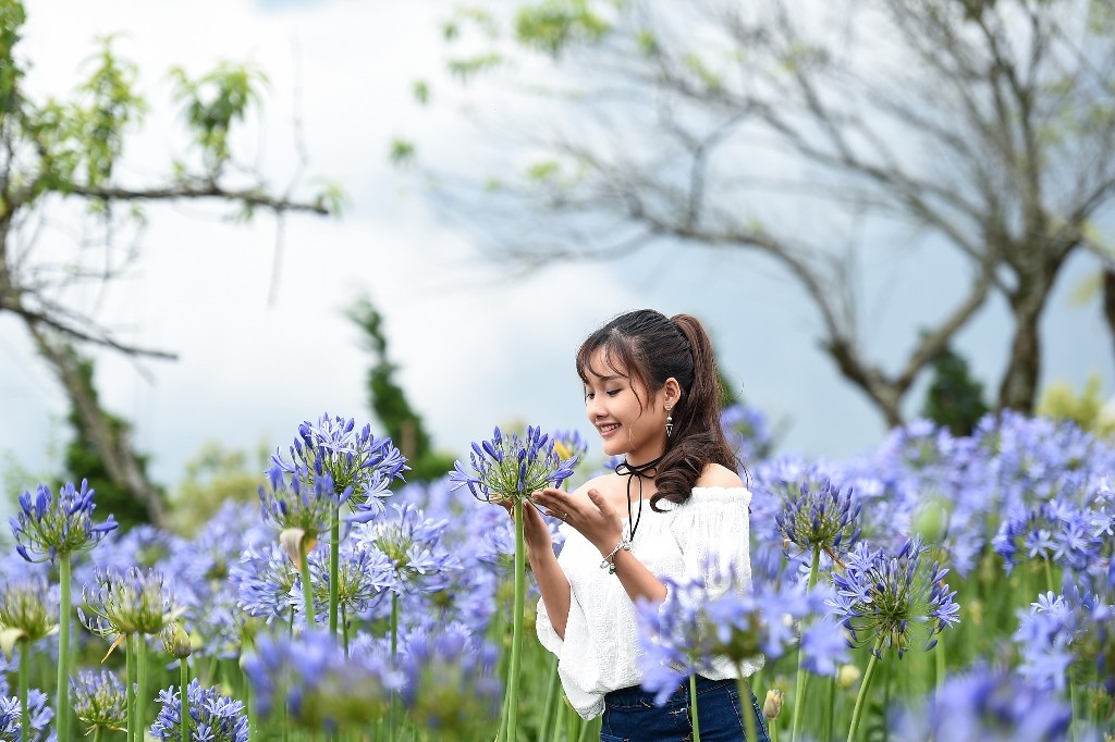 Ngất ngây sắc hồng cổ chân núi Fansipan (Hình 7).