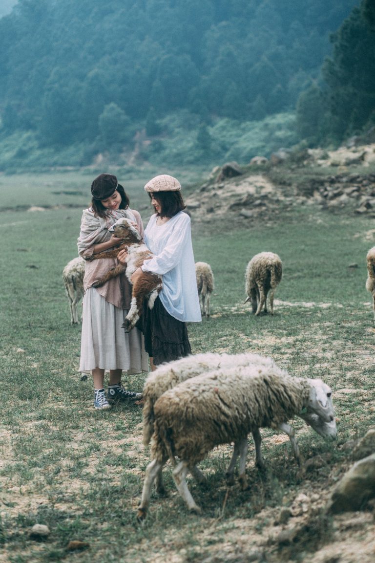 Những điểm đến “mát lạnh” ở vùng Gió Lào Nghệ An (Hình 6).