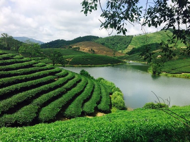Những điểm đến “mát lạnh” ở vùng Gió Lào Nghệ An (Hình 2).