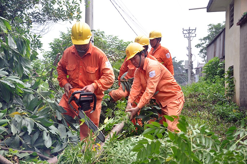 Giảm thiểu 81/300 trường hợp vi phạm HLBVATCTLĐCA trên địa bàn Hà Nội (Hình 3).