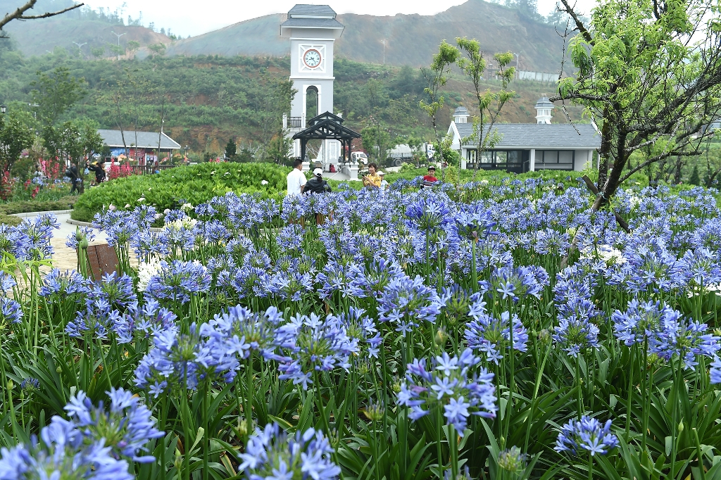 Hà Nội nóng hơn 40 độ C, người thành phố check-in đỉnh Fansipan (Hình 7).