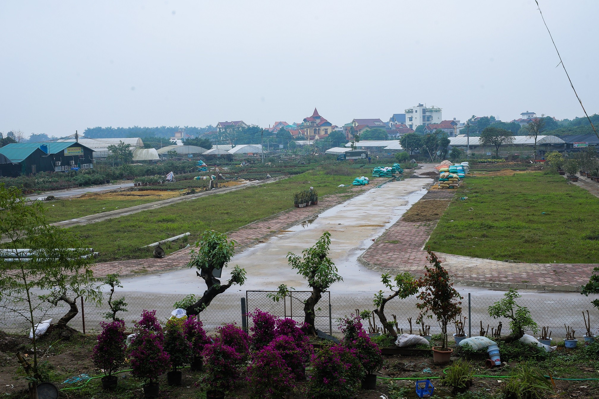 Tiêu dùng & Dư luận - Hàng ngàn hộ dân Văn Giang hồ hởi nhận đất dịch vụ (Hình 6).