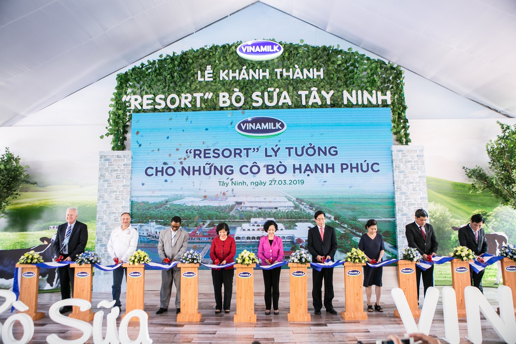 Tiêu dùng & Dư luận - 'Resort' bò sữa Vinamilk Tây Ninh - ngôi nhà lý tưởng của những cô bò hạnh phúc (Hình 5).