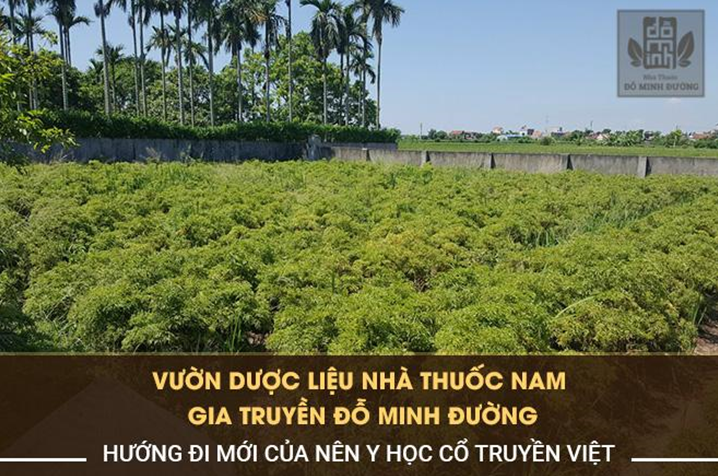 Truyền thông - Chữa bệnh xuất tinh sớm bằng bài thuốc Đông Y dòng họ Đỗ Minh (Hình 4).