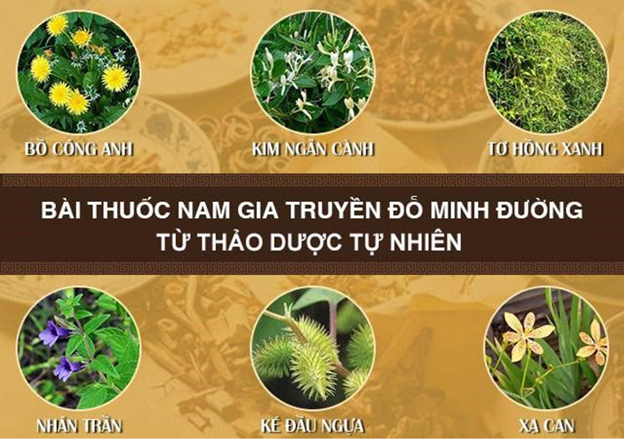 Truyền thông - Cách chữa viêm họng ở trẻ em bằng bài thuốc Nam bí truyền Đỗ Minh Đường (Hình 3).