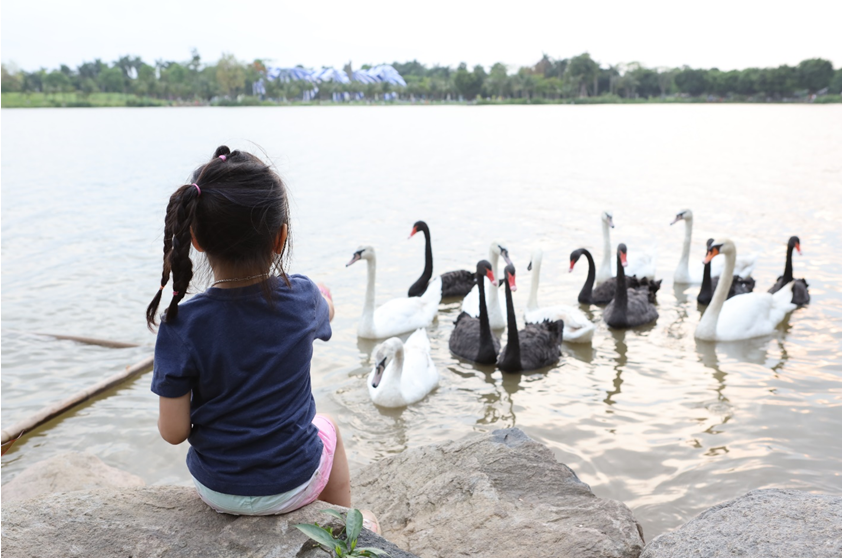 Tiêu dùng & Dư luận - Điểm đến tuyệt vời dịp lễ: Chơi cùng thiên nhiên tại Ecopark (Hình 5).