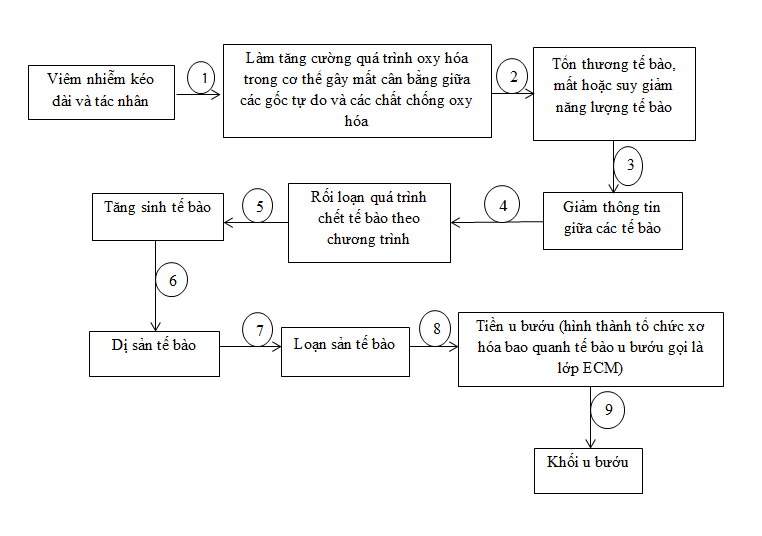 Sức khỏe - BẠN CÓ BIẾT: Khối u bướu hình thành qua những bước nào?