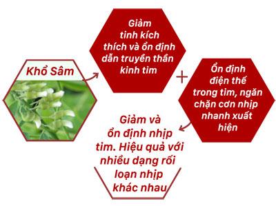 Sức khỏe - TPBVSK Ninh Tâm Vương - sản phẩm vàng cho người rối loạn nhịp tim (Hình 2).