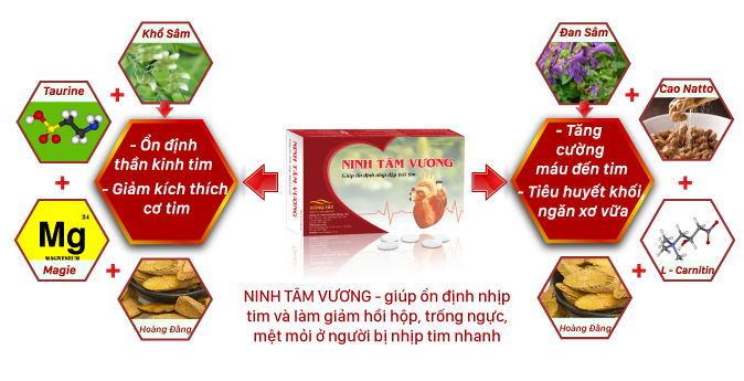 Sức khỏe - TPBVSK Ninh Tâm Vương - sản phẩm vàng cho người rối loạn nhịp tim (Hình 3).