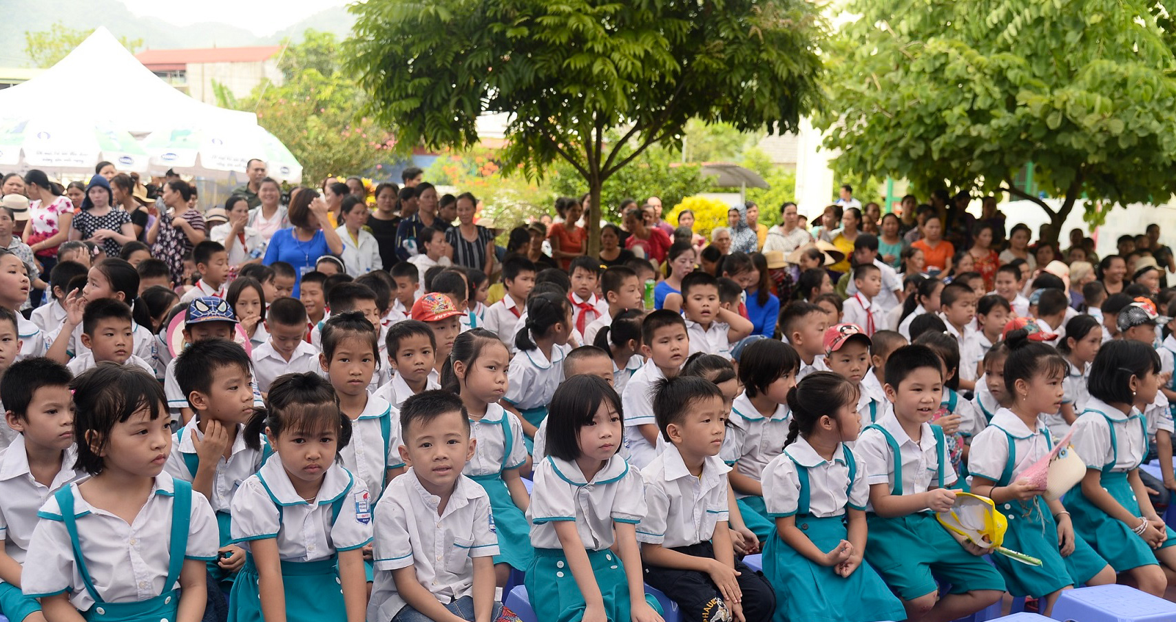 Sức khỏe - Sữa học đường: lời giải cho bài toán khó về thiếu vi chất dinh dưỡng (Hình 4).