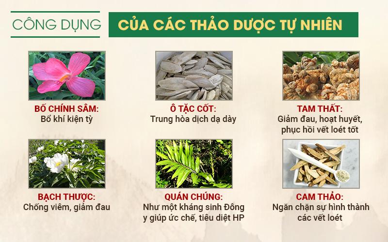 Truyền thông - Hiệu quả 'thần kỳ' khi chữa đau dạ dày bằng bài thuốc của Trung tâm Thuốc dân tộc