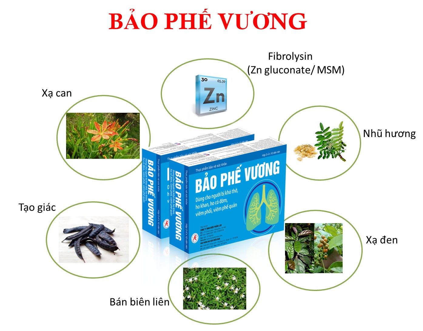 Sức khỏe - Phải bỏ nghề vì ho, khó thở kéo dài do bệnh viêm phế quản mạn tính; ông Ánh đã cải thiện nhờ cách này (Hình 5).