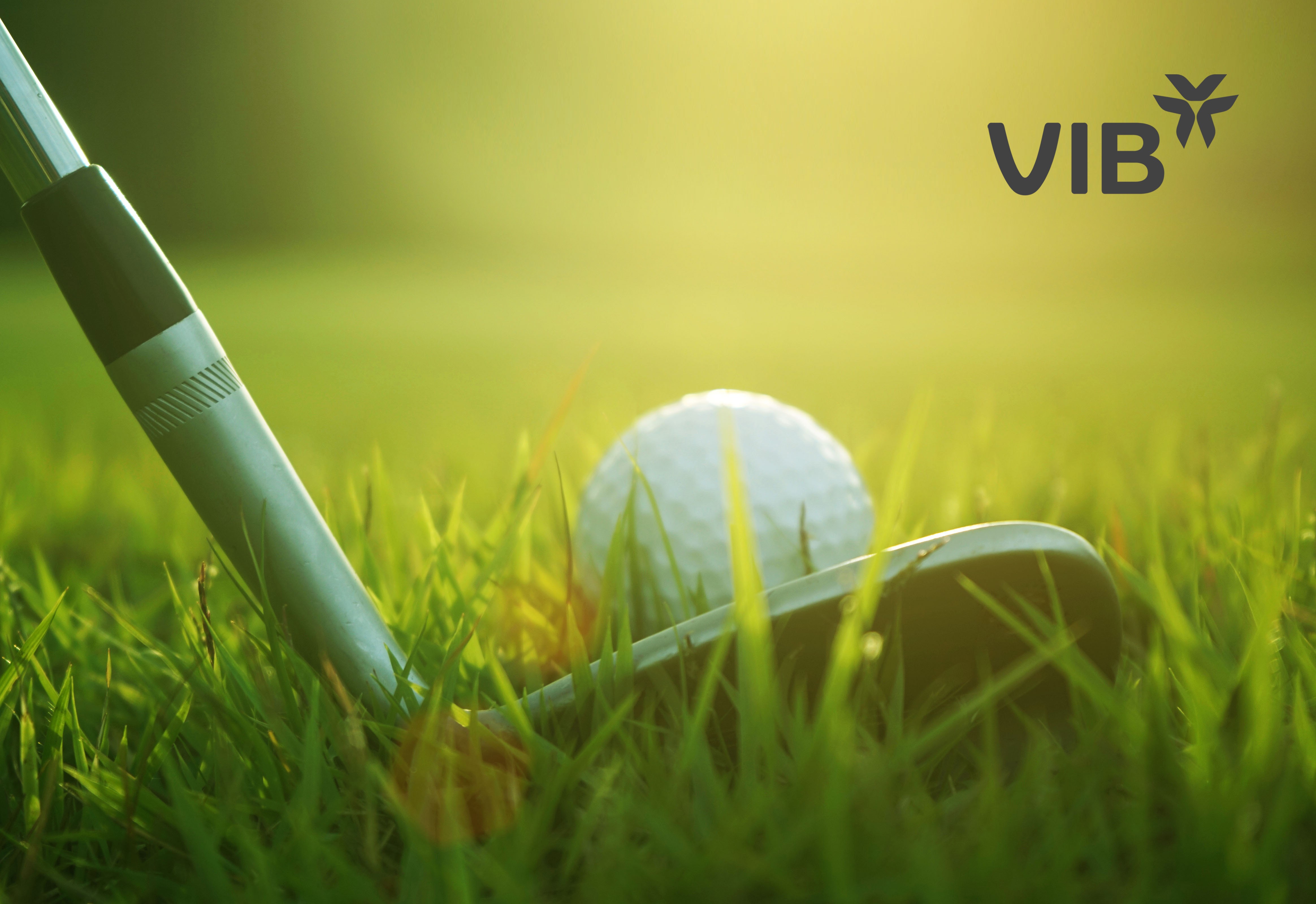 Truyền thông - VIB tài trợ hơn 1,1 tỷ  đồng cho BMW Golf Cup International 2019 – Vòng chung kết Việt Nam