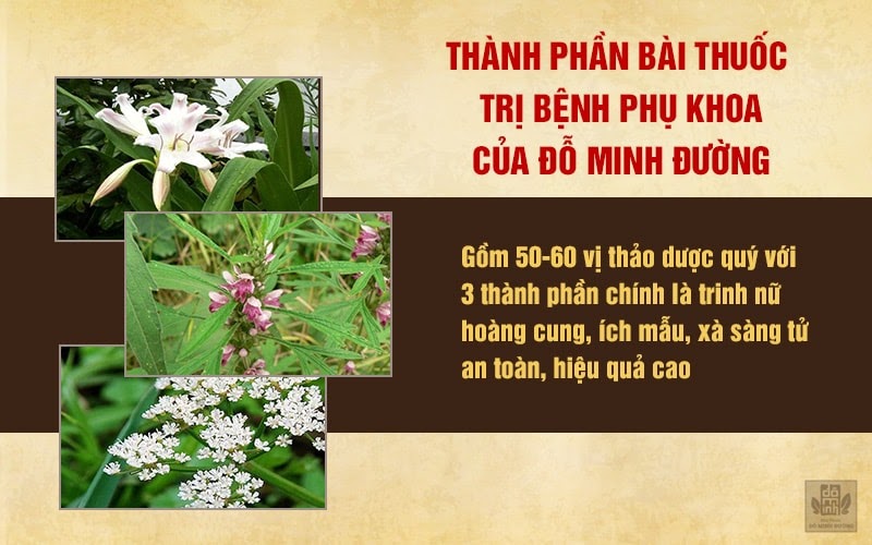 Truyền thông - “Vì sức khỏe của bạn” đài Hà Nội giới thiệu bài thuốc chữa phụ khoa Đỗ Minh Đường (Hình 2).