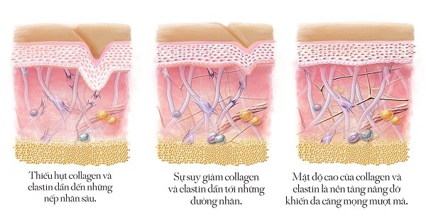 Sức khỏe - Viên uống trắng da BoniSnow có tốt không?  (Hình 3).