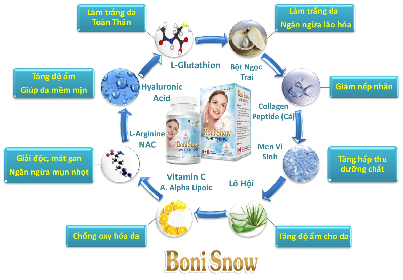 Sức khỏe - Viên uống trắng da BoniSnow có tốt không?  (Hình 4).