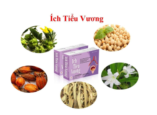 Sức khỏe - Hiệu quả của Ích Tiểu Vương với người cao tuổi bị tiểu không tự chủ như thế nào?  (Hình 3).