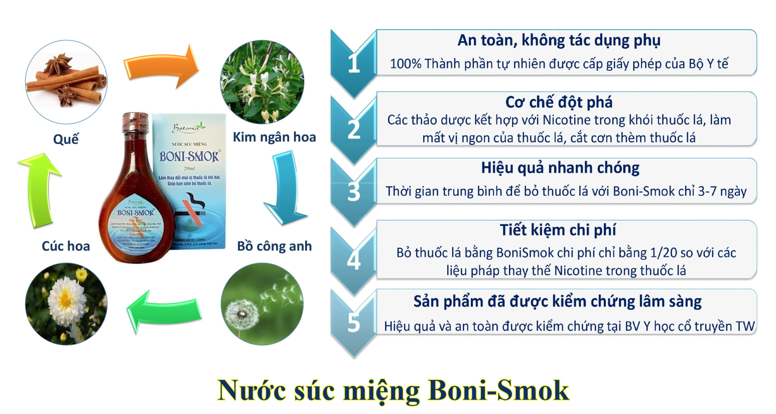 Sức khỏe - Nước súc miệng cai thuốc lá Boni-Smok có tác dụng không? (Hình 2).