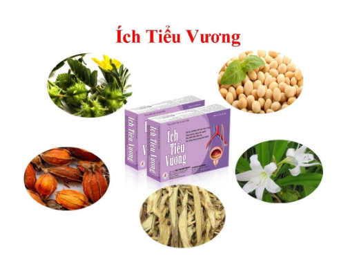 Sức khỏe - Hiệu quả của Ích Tiểu Vương với người cao tuổi bị tiểu không tự chủ như thế nào?  (Hình 3).