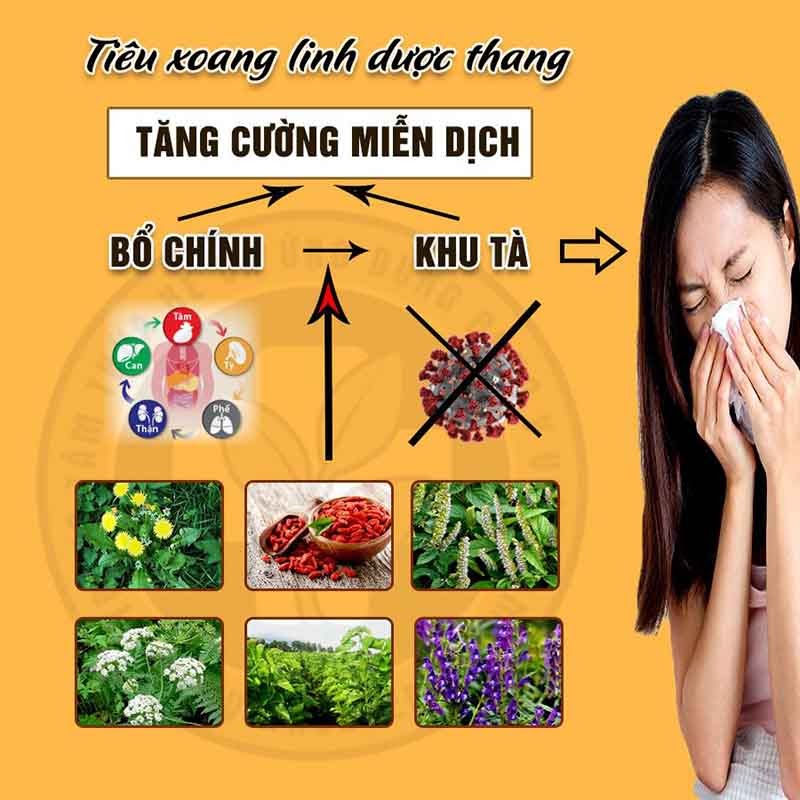 Truyền thông - Bác sĩ Lê Phương chia sẻ bài thuốc thảo dược dùng trong điều trị viêm xoang, viêm mũi dị ứng (Hình 3).