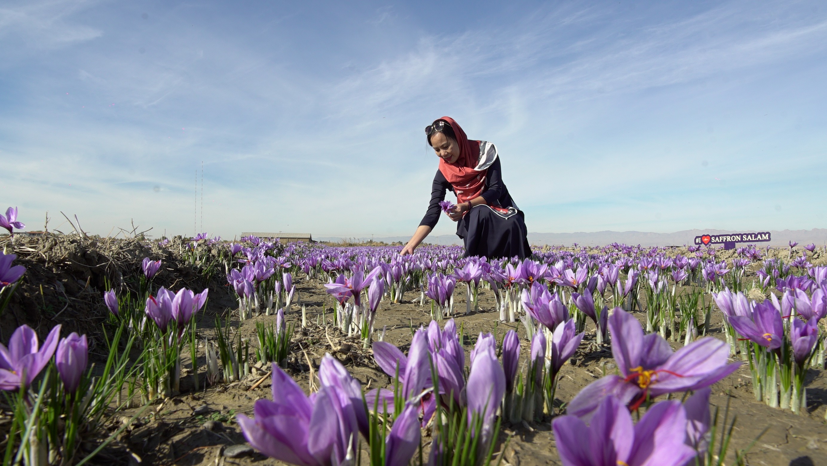 Truyền thông - Saffron VIETNAM – Nhà phân phối Saffron uy tín nhất của Shopee