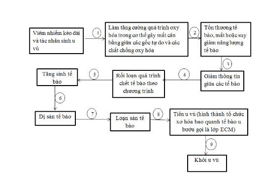 Sức khỏe - Tại sao Oncolysin hỗ trợ điều trị hiệu quả cho người mắc ung thư vú?